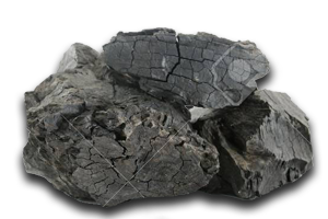 Large nut coal